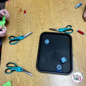 family and consumer science sewing project