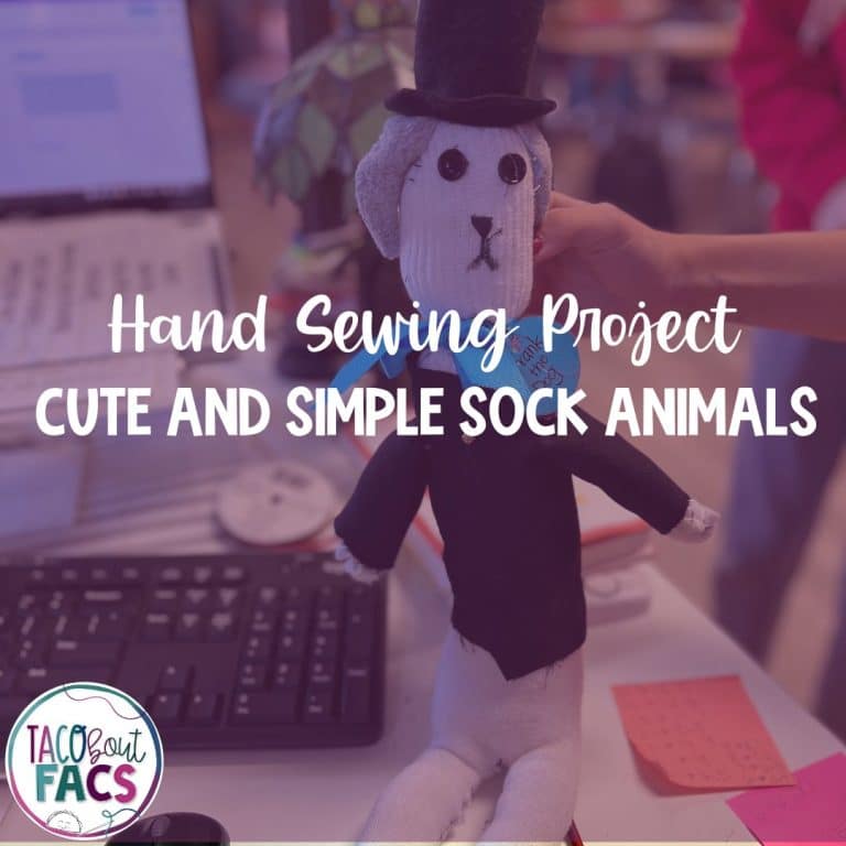 hand sewing sock animal project for a family and consumer science classroom